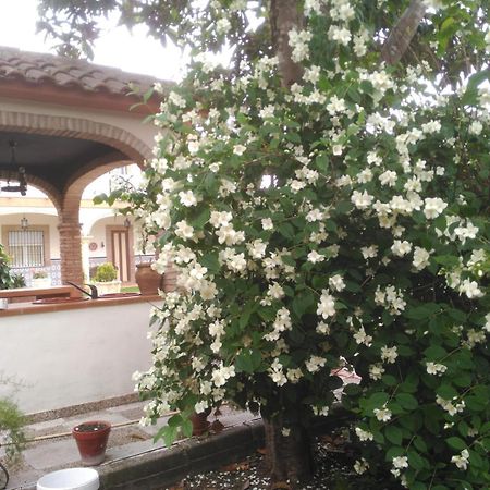 Vivienda Turistica Rural Mari Carmen Villa Baeza Kültér fotó