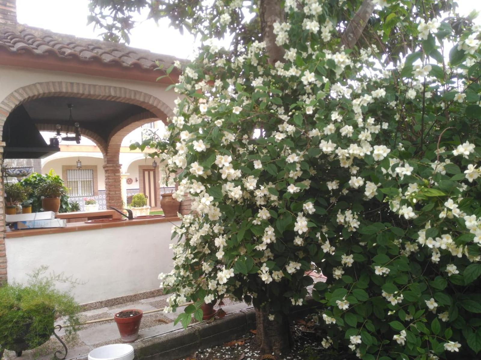 Vivienda Turistica Rural Mari Carmen Villa Baeza Kültér fotó