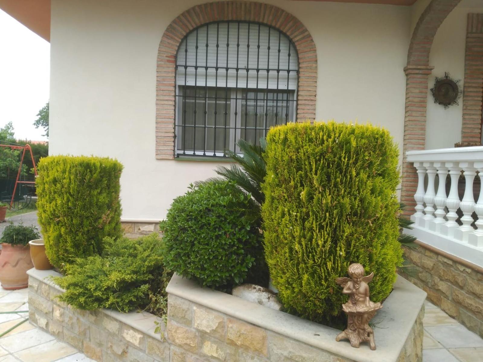 Vivienda Turistica Rural Mari Carmen Villa Baeza Kültér fotó