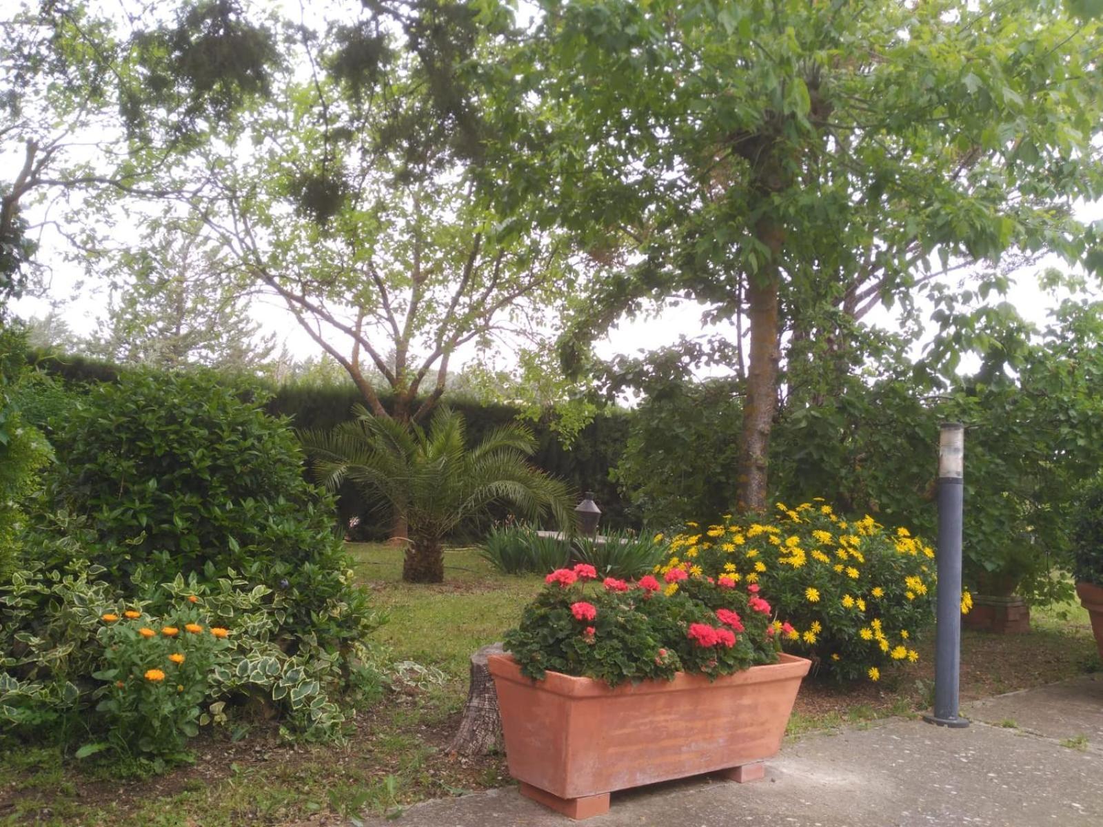Vivienda Turistica Rural Mari Carmen Villa Baeza Kültér fotó