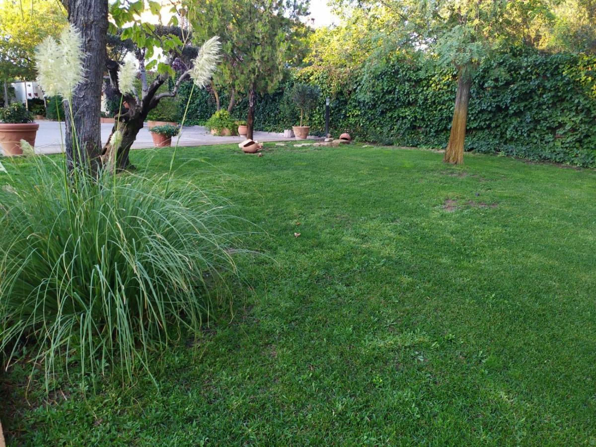 Vivienda Turistica Rural Mari Carmen Villa Baeza Kültér fotó